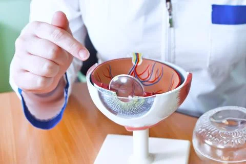 Ophthalmology oculus sample closeup Stock Photos