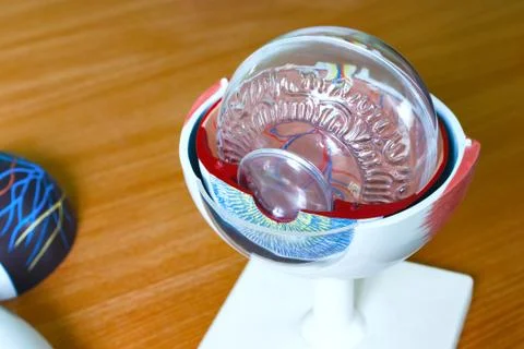 Ophthalmology oculus sample closeup Stock Photos