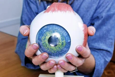 Ophthalmology oculus sample closeup Foto stock