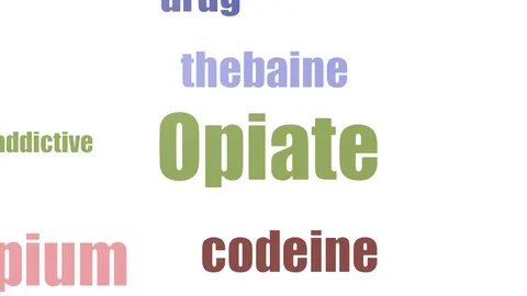 Opiate Wordcloud Animated Isolated 動画素材 107228391