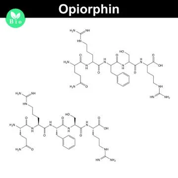 Opiorphin peptide molecular structure Stock Illustration