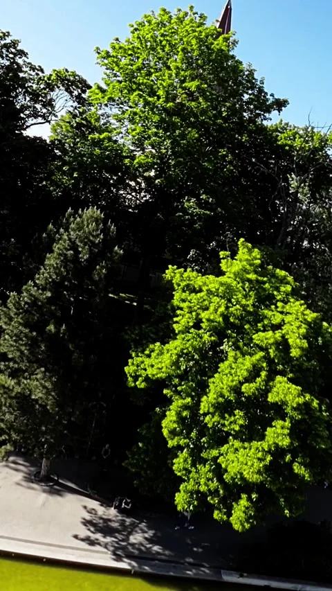 Opole city Stock Footage 278020114