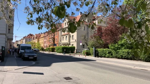 Opole, Poland - Camera Tracks Under Tree Beautiful Residential Street, 4k 스톡 동영상 89880670