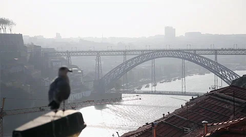 Oporto's Bridge view Stock Footage 60664581