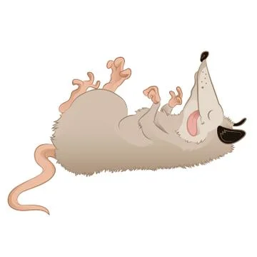 Opossum Stock Illustration