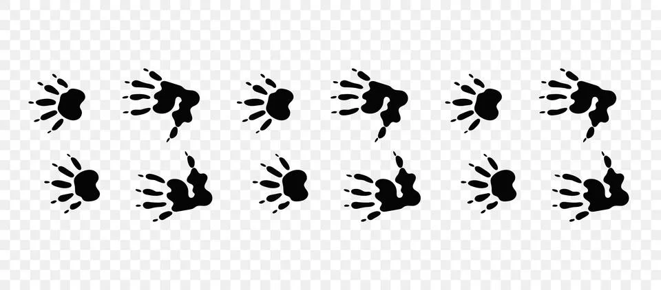 Opossum paws Stock Illustration