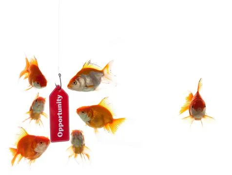 Opportunity Trap Stock Photos