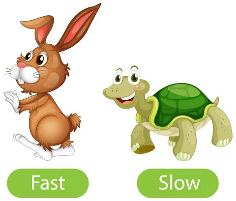 Opposite adjective words with fast and slow Stock Illustration