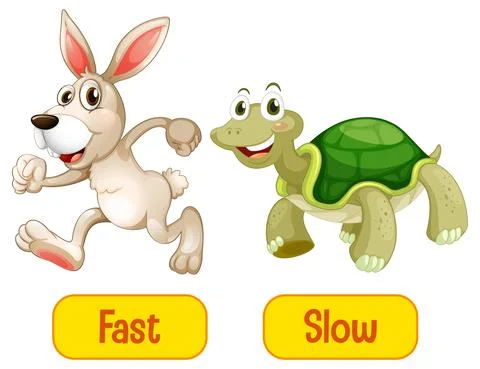 Opposite adjectives words with fast and slow Stock Illustration