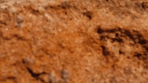 Opposite coast Stockbeeldmateriaal 97839654