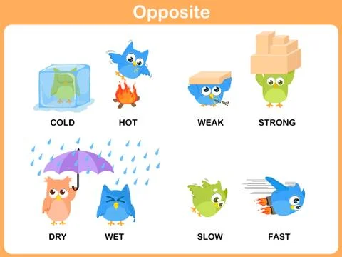 Opposite word for preschool Stock Illustration