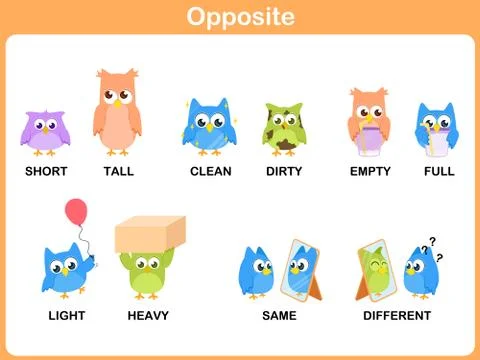 Opposite word for preschool Stock Illustration