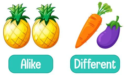 Opposite words with alike and different Stock Illustration