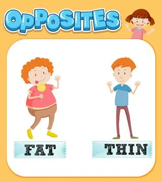 Opposite words for fat and thin Stock Illustration