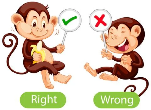 Opposite words with right and wrong Illustrazione stock