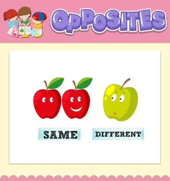Opposite words for same and different Illustrazione stock