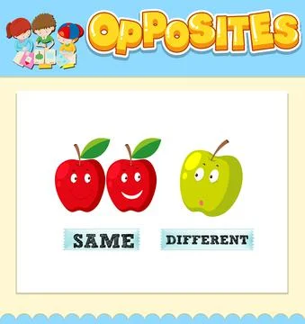 Opposite words for same and different 스톡 일러스트