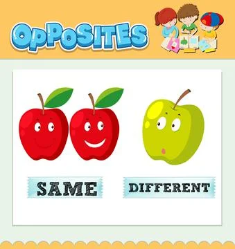 Opposite words for same and different Stock Illustration
