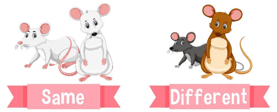 Opposite words for same and different Illustrazione stock