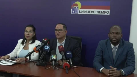 Opposition party says lack of consular services affects three million Venezuelan Stock Footage 330429810