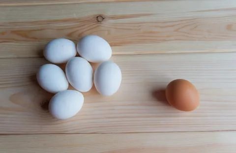 Opposition Stock Photos