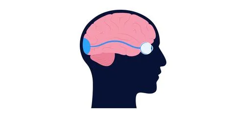 Optic nerve anatomy 스톡 일러스트