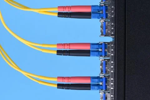 Optical cables connectec to switch Foto stock