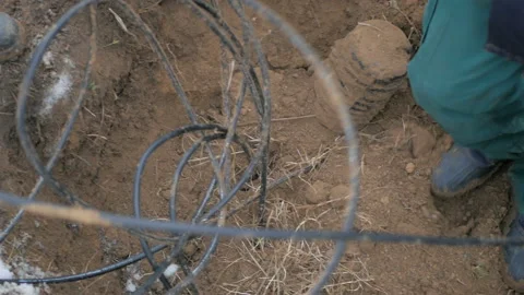 Optical communication network. Stock Footage 99889971