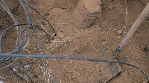 Optical communication network. Stock Footage 99893053