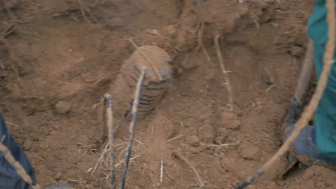 Optical communication network. Stock Footage 99893396