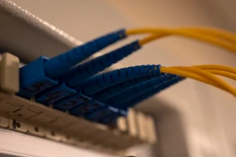 Optical distribution panel with connected patch cord cable Stock Photos