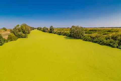 Optical effect of green algae on river Stock Photos