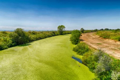 Optical effect of green algae on river Stock Photos