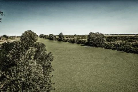 Optical effect of green algae on river Foto stock