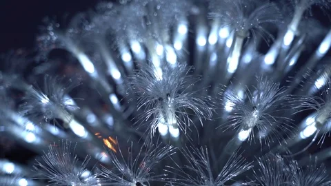 Optical fiber light; slow motion background Stock Footage 124723571