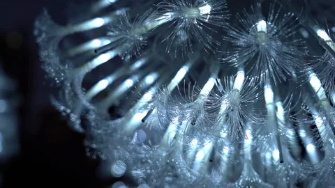 Optical fiber light; slow motion background Stock Footage 124723573