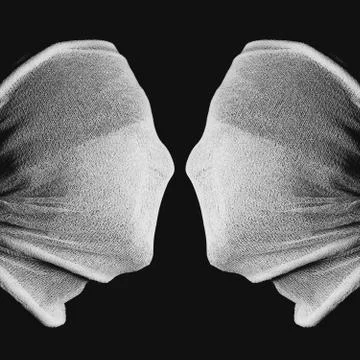 Optical Illusion - Two Faces or a Chalice Stock Photos