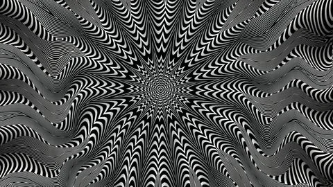 Optical illusion with zebra pattern Illustrazione stock