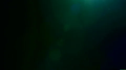 Optical Lens Flare Effect 4K Stock Footage 115901923
