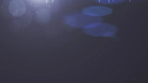 Optical Lens Flare Effect, 4K Resolution... | Stock Video | Pond5