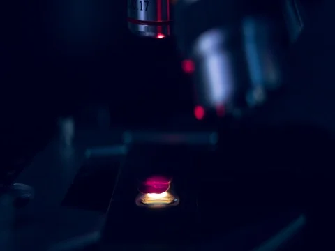 Optical Microscope in dark backround. Stock Footage 77764284