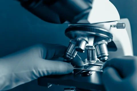 Optical microscope focusing on sample Stock Photos