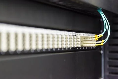 Optical patch panel Foto stock