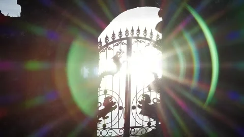 Optical solar flare Stock Footage 274430699