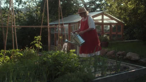 Optimal watering can techniques for organic gardening in a vibrant garden Stock Footage 319937887