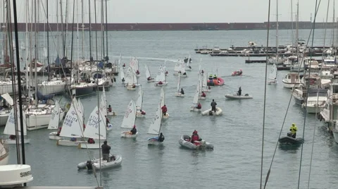 The optimist race in a small harbor of Genoa Stock Footage 61159042