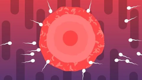 An optimistic 3d illustration of competing white spermatozoids encircling big Stock Illustration