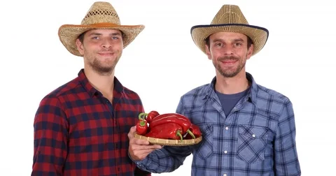 Optimistic Farmer Men Show Thumb Up Sign Holding Bio Red Pepper Pile Vegetables Video stock 77009417