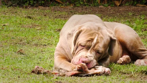 Optimize your SEO with this Stock Video Pond5