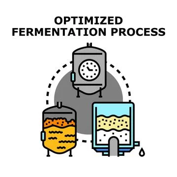 Optimizing fermentation process stages timeline concept Stock Illustration